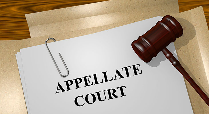 Appellate Courts Now Have The Authority To Lift Their Own Publication Bans