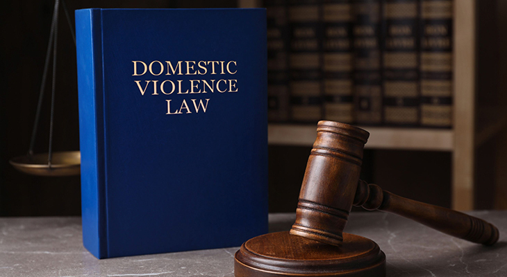 Navigating Domestic Assault Charges: What You Need To Know